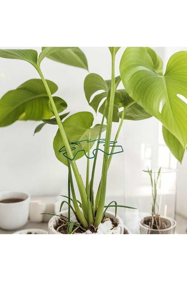 Green Plant Stem Support Durable Monstera Stabilizer Metal Climbing Plant Trainer Decorative Garden