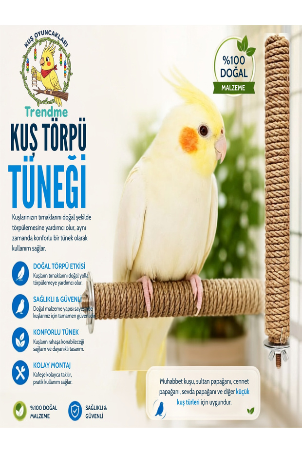 Trendme Bird Rasp Bird Feather Picker 2 Pieces