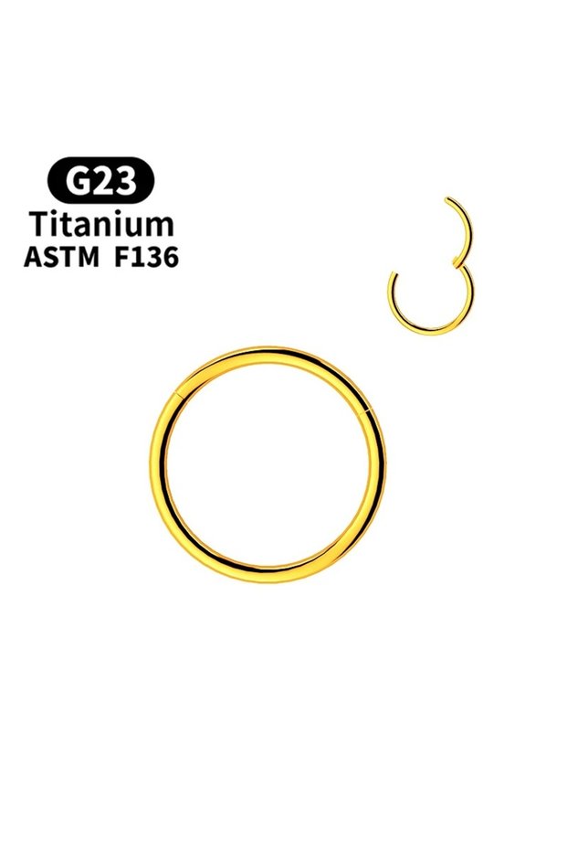 16G-1.2mm-8mm S2-1pc-golden 1Pc G23 Titanium Hinged Nose Rings, Body Clips Hoop Rings For Women Men