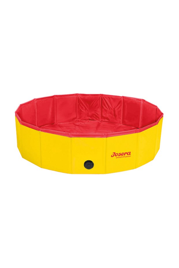 Dog Pool Promo