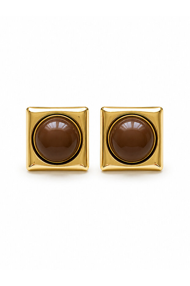 Steel Square Brown Earrings
