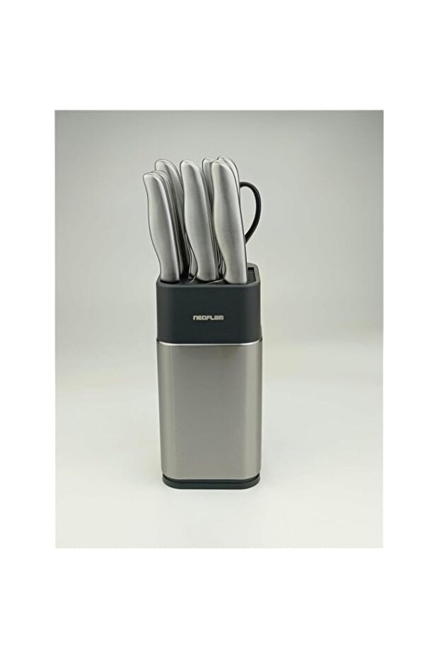 Neoflam High Carbon Stainless Steel Knife Set 10-Pieces, Silver