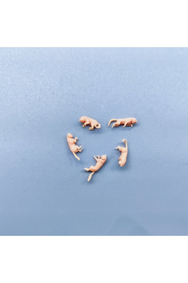1 l 64 scale 5 cats 1/64 1/50 1/43 Figurines Scale Model Resin 5 Lying Lazy Cats Uncolored Miniatur