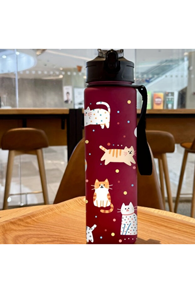 750ML Red 3D Printed Cute Cartoon Cat PVC-Free, Leak-Proof, Matte Finish 750ML Water Bottle,Includes