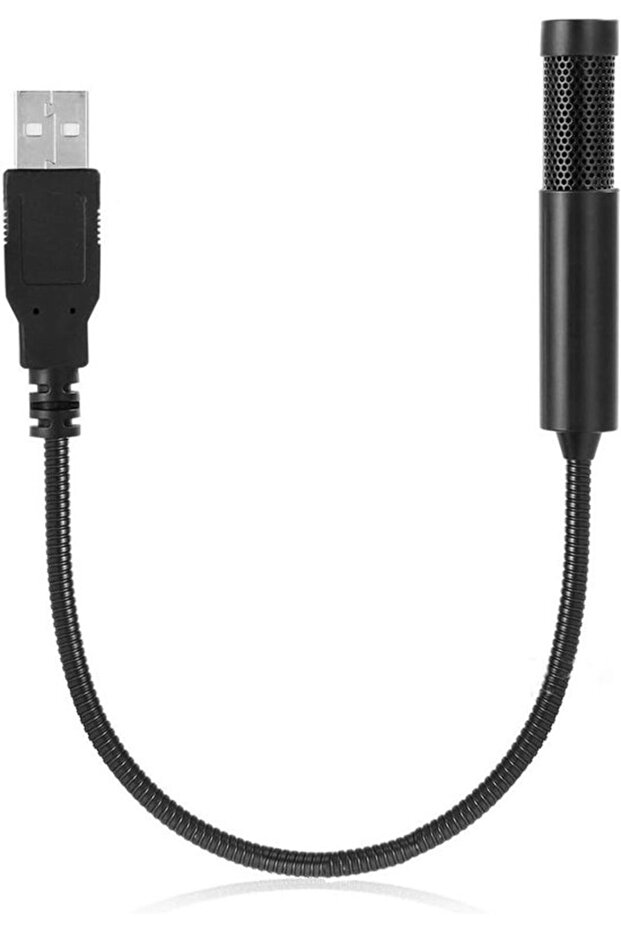 Mini USB condenser microphone.