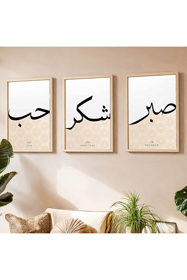 ALAYRA Office Living Room Canvas Wall Art Set of 3 Outer Frame 60x80 cm