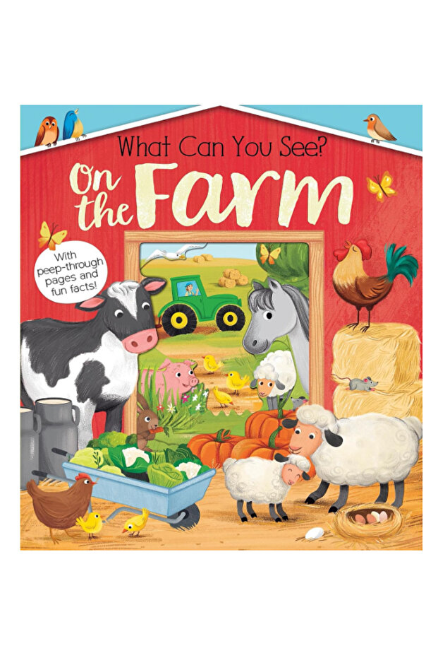 On The Farm Board book