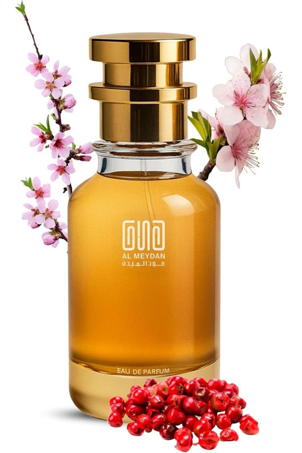 Oil Perfume for Women – 212 Vipp Roze Inspired Fruity Floral Scent with Champagne, Peach Blossom & Musk – Alcohol-Free, Long-Lasting & Elegant (30 ML)
