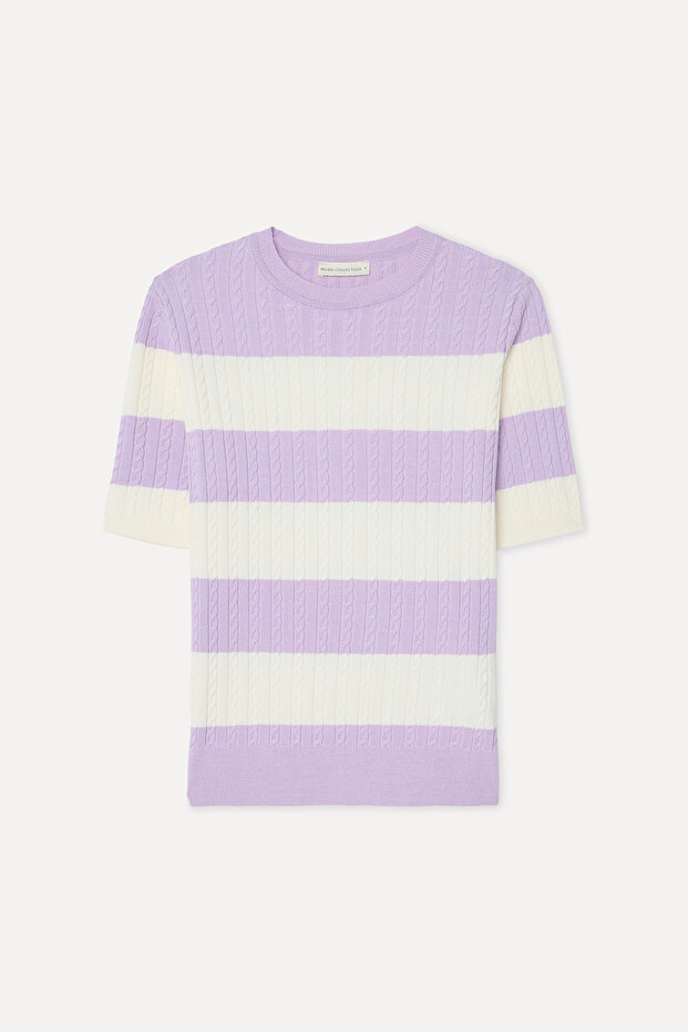 Women's Lilac Striped Fitted Crew Neck Short Sleeve Sweater