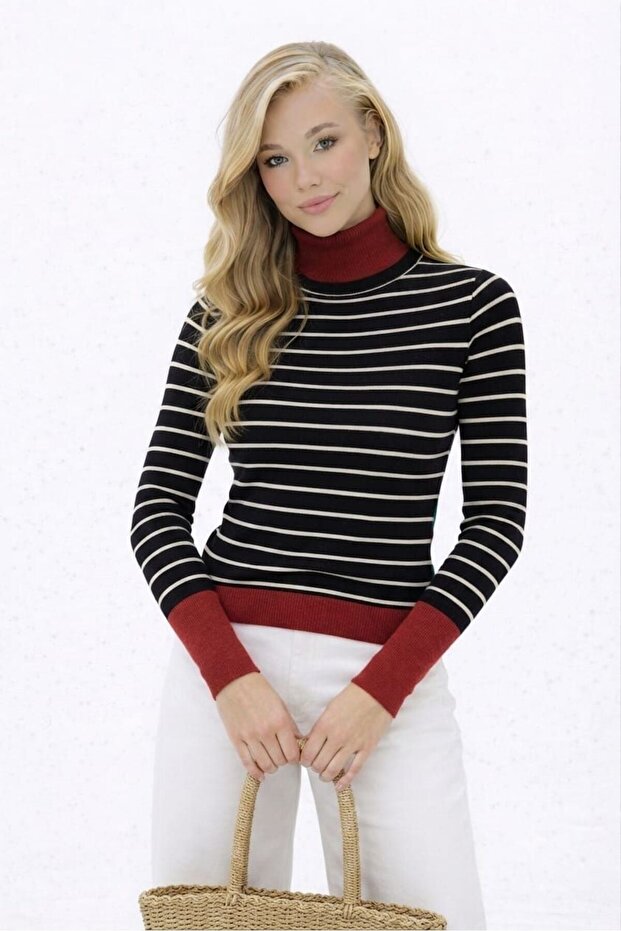 Women's Knitwear Sweater Turtleneck Striped Patterned Winter