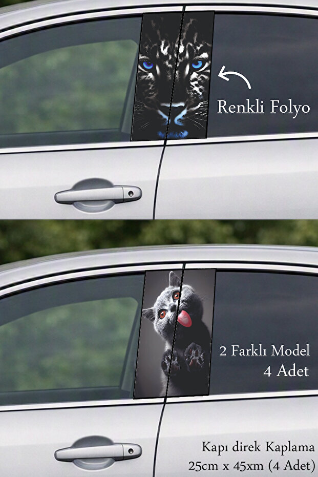Post-Coating Foil Printing That Supports Vehicle Appearance
