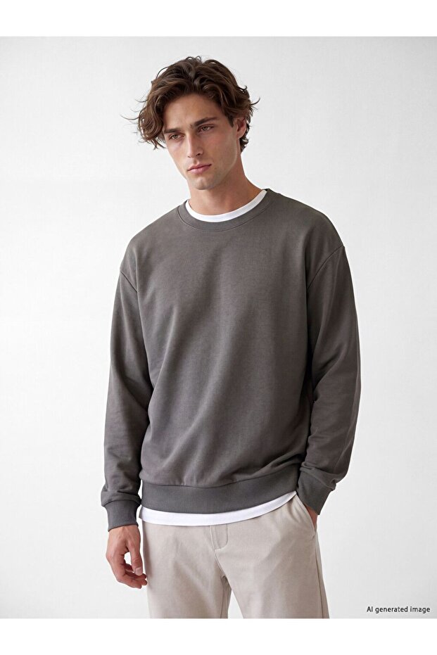 Lcw vision brown crew neck men's sweatshirt