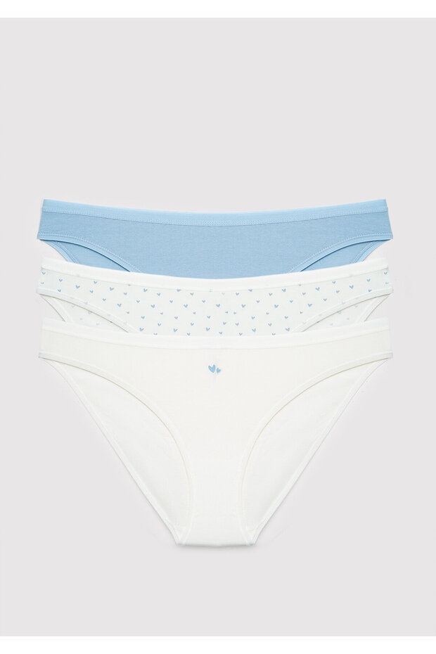 3-Pack Classic Panties 1914304-70861