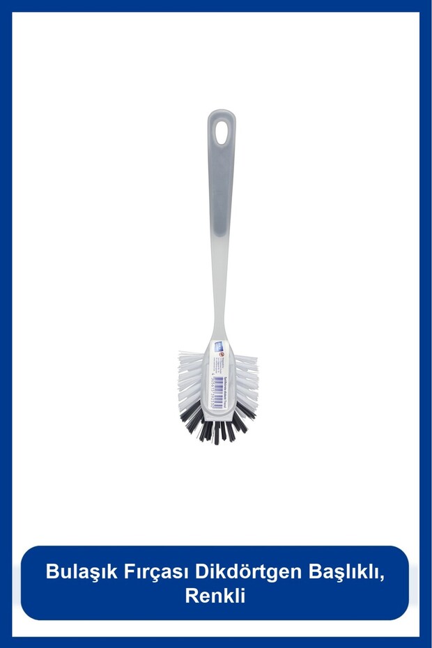 Dish Brush with Rectangular Head, Colorful