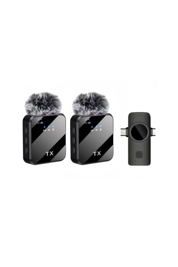 Zr1029 F13 Dual Input Dual Microphone