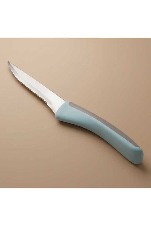 SteelAl Saif Gallery knife - light blue