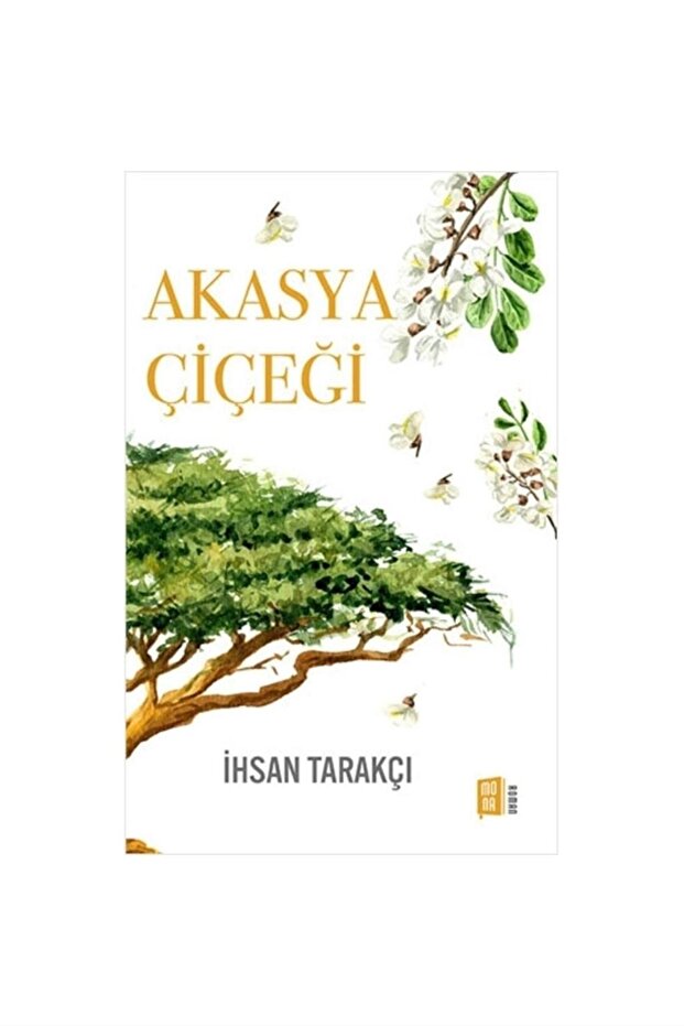 Akasya Çiçeği