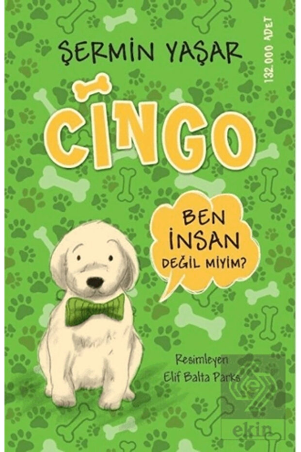Cingo