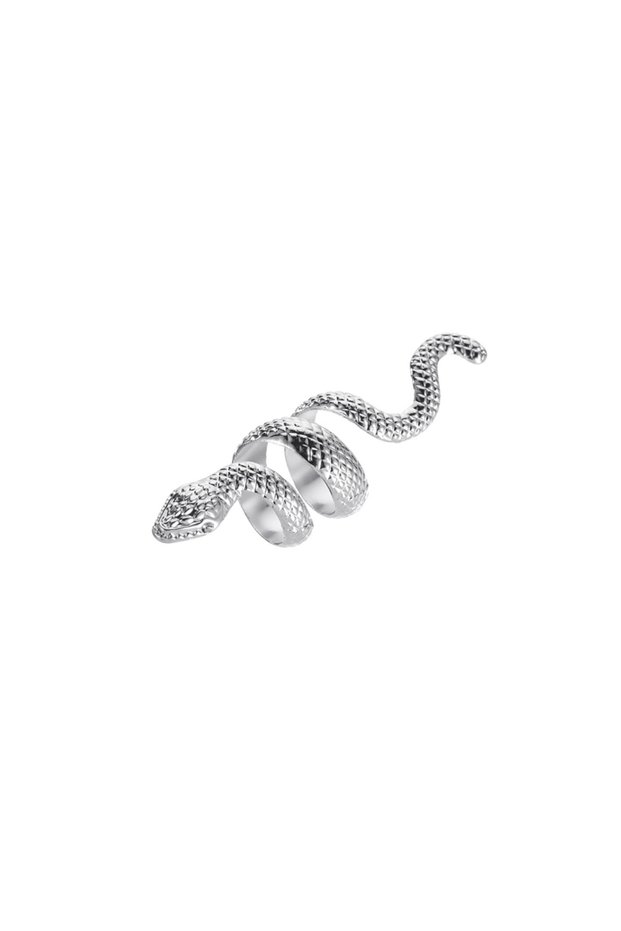 Silver-color Metal Snake Rings for Women Men Exquisite Punk Exaggerated Animal Ring Vintage Versatil