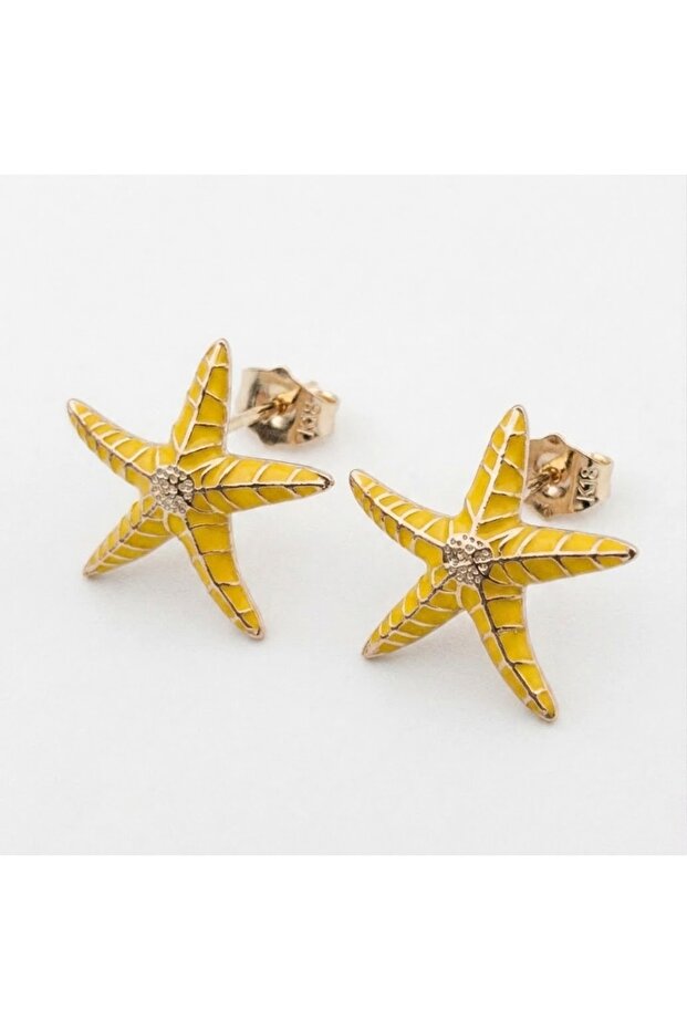 Starfish Steel Earrings