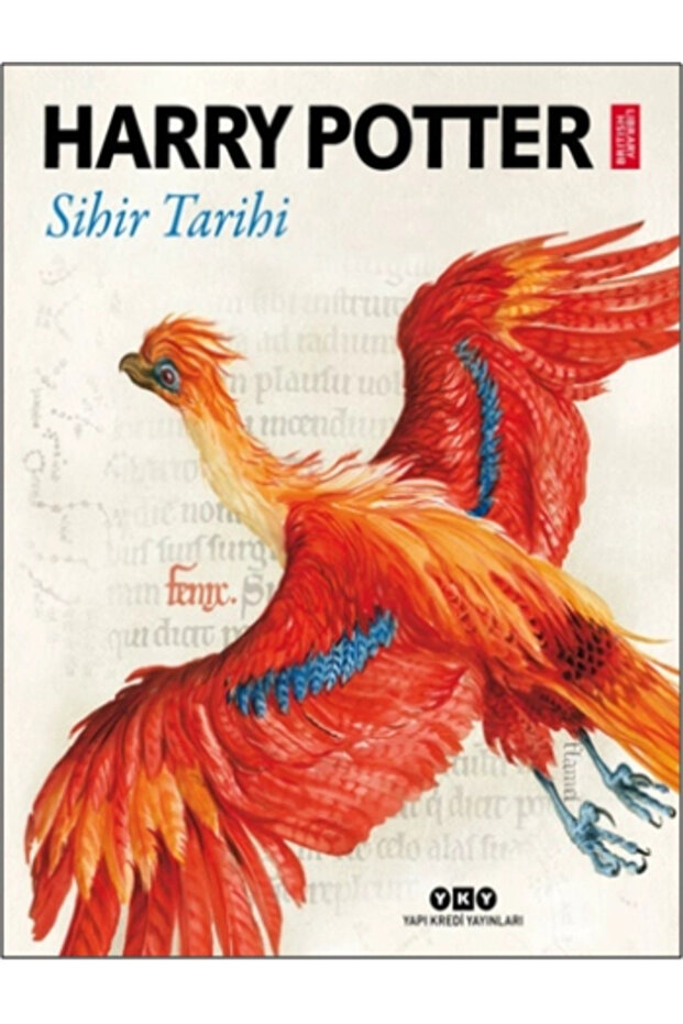 Harry Potter: Sihir Tarihi