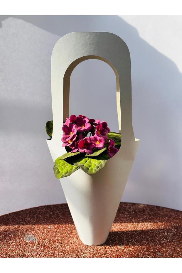 Bottle & Flower Carrying Bag White Luxury – Decorative Bouquet and Cobalt Gift Bags (10 Pieces)