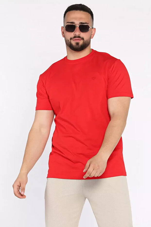 Crew Neck Embroidered Men's T-Shirt