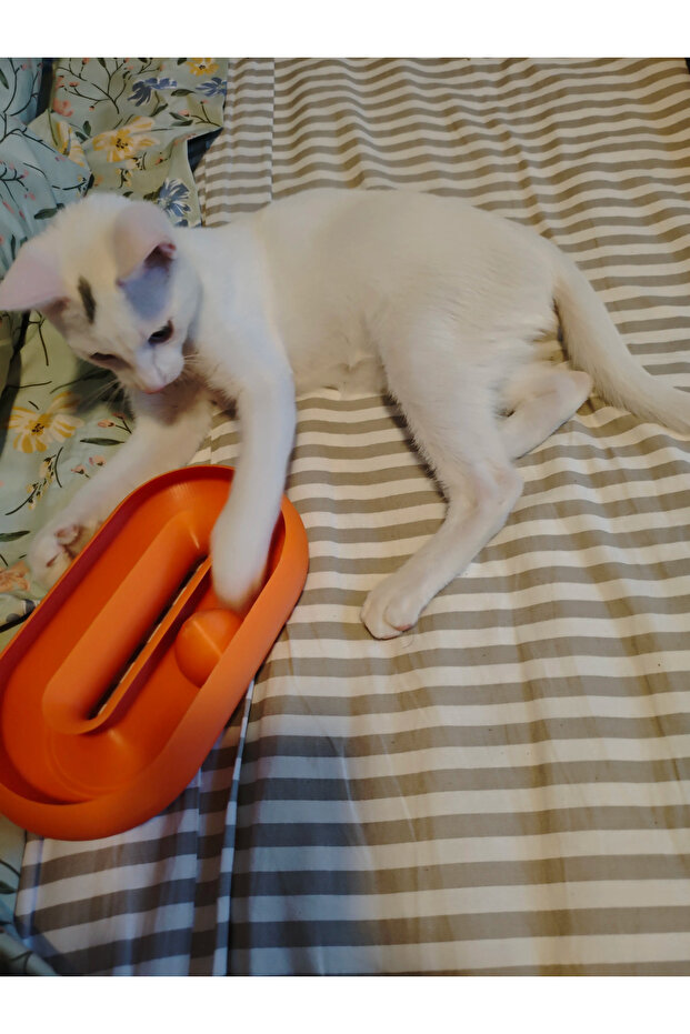 Cat Toy Oval Interactive Cat Play Accessory Pet Toy