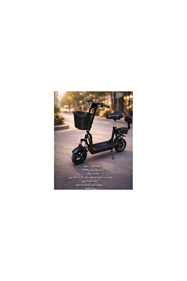 Scooter with Basket, Developed, 48 Volts