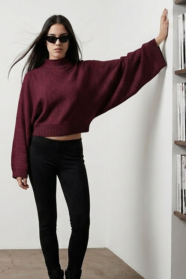 Dorg Soft Textured Wide Batwing Sleeve High Neck Knitwear Women's Sweater & Blouse - Burgundy