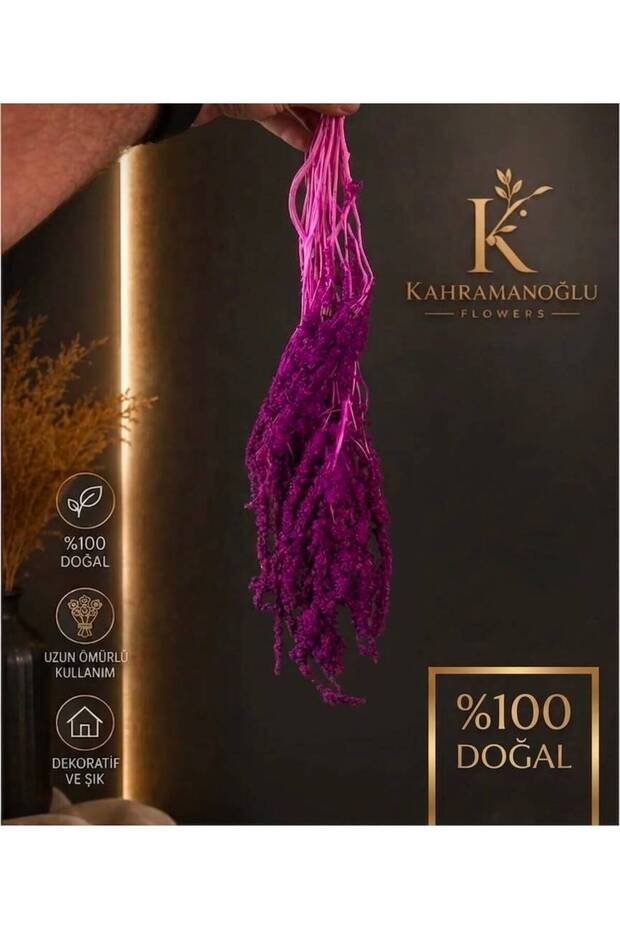 Gerçek mor Amarantus