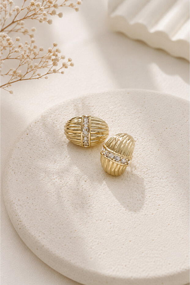 Curved Stone Steel Earrings