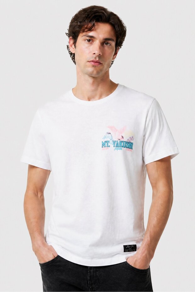 Men Crew Neck Short Sleeve Graphic Print T-Shirt, White