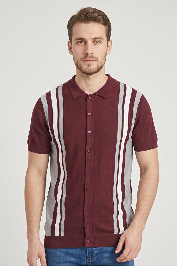 Men Regular Fit Stripe Short Sleeve Casual Shirt, Burgundy