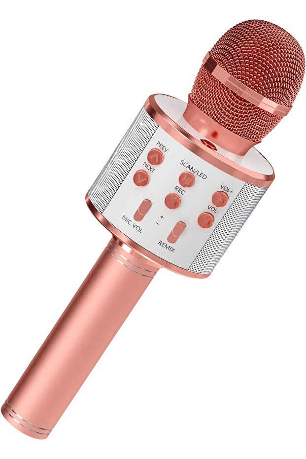 Microphone for Singing, Wireless Bluetooth Karaoke Microphone for Adults, Portable Hand