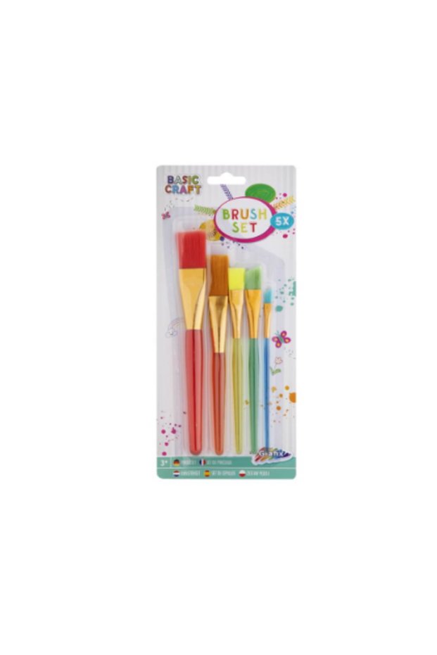 Set de 5 pensule pentru pictură Basic Craft