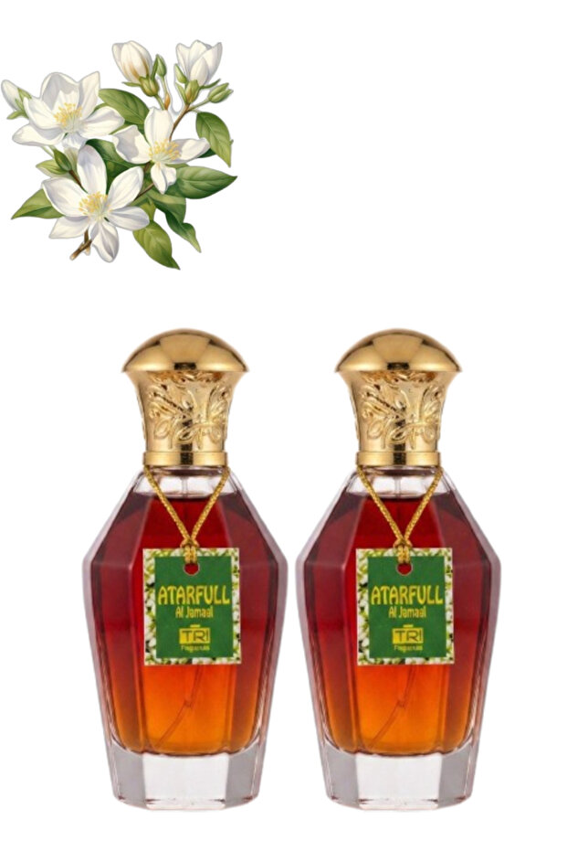 قطعتان من عطر أتارفول الجمل 100 مل