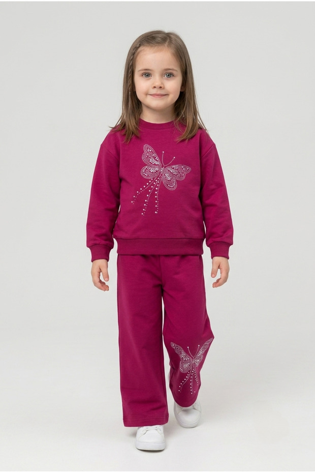 Girl's 2-Strand Combed Cotton Top and Bottom Set with Butterfly Stone Print, Comfortable Fit Sweatshirt & Wide-Leg Pants, Ages 2-6