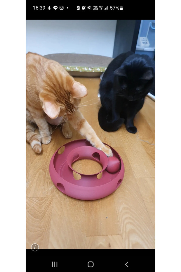 Cat Ring Toy Donut Bulk Interactive Cat Toy Food Reward Toy