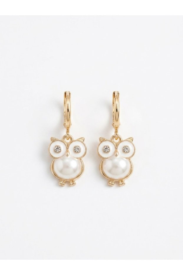 Women's Owl Figured Dangle Earrings, Stylish Earrings, Non-Tarnish, Stainless, Gift Boxed Women's Earrings