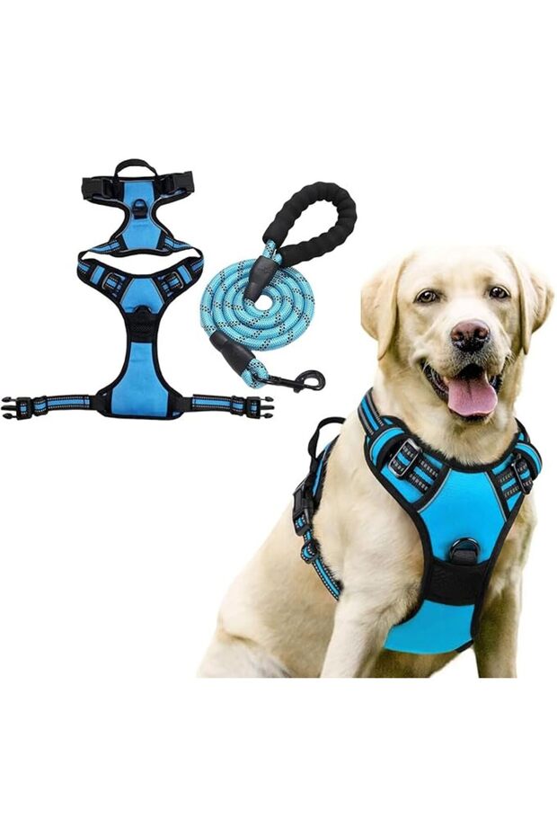Dog Harness and Leash Set, Breathable and Selective Soft-Shell Padded Vest for Pets, Comfortable and Adjustable.