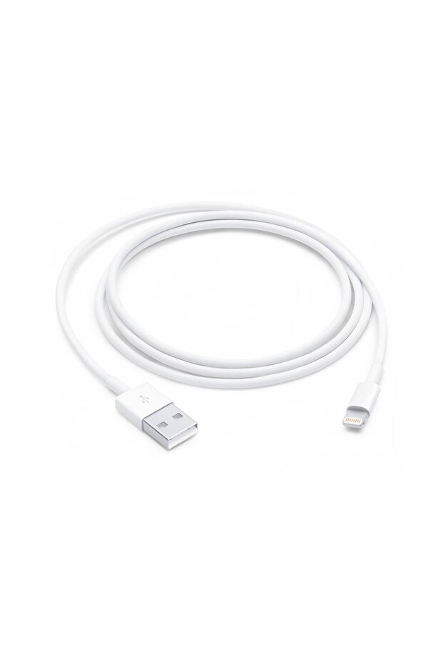 LIGHTNING TO USB CABLE (1M) TR GARANTİ