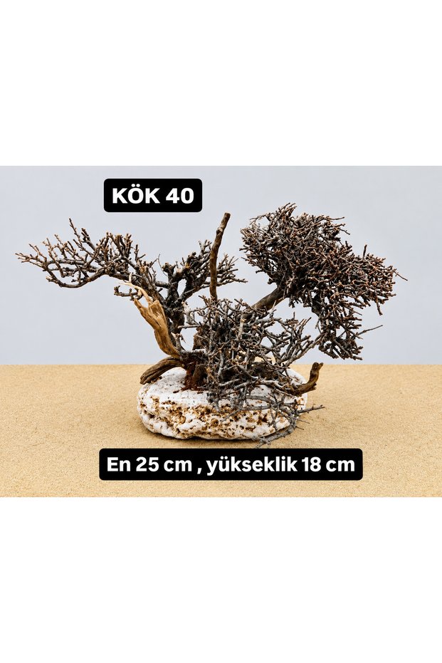 KÖK 40
