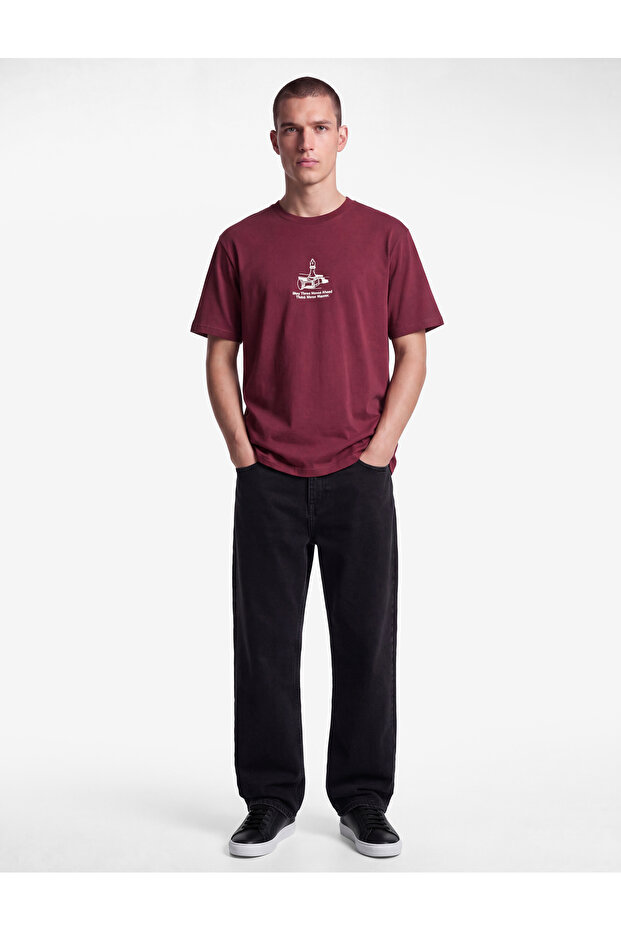 Regular Fit Short-Sleeved Crew Neck Cotton Printed T-Shirt