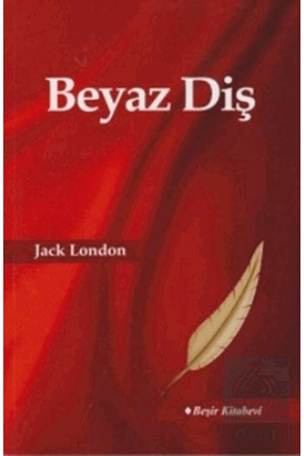 Beyaz Diş /