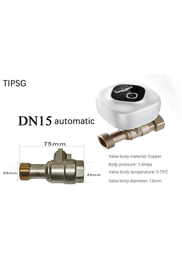 DN15 Automatic EU Smart Water Valve Voice Control Remote App Timer Control Auto Shutoff Leak Alarm W
