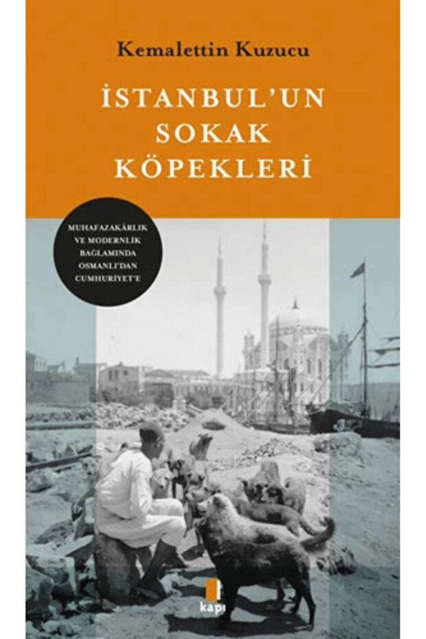 İstanbul'un Sokak Köpekleri