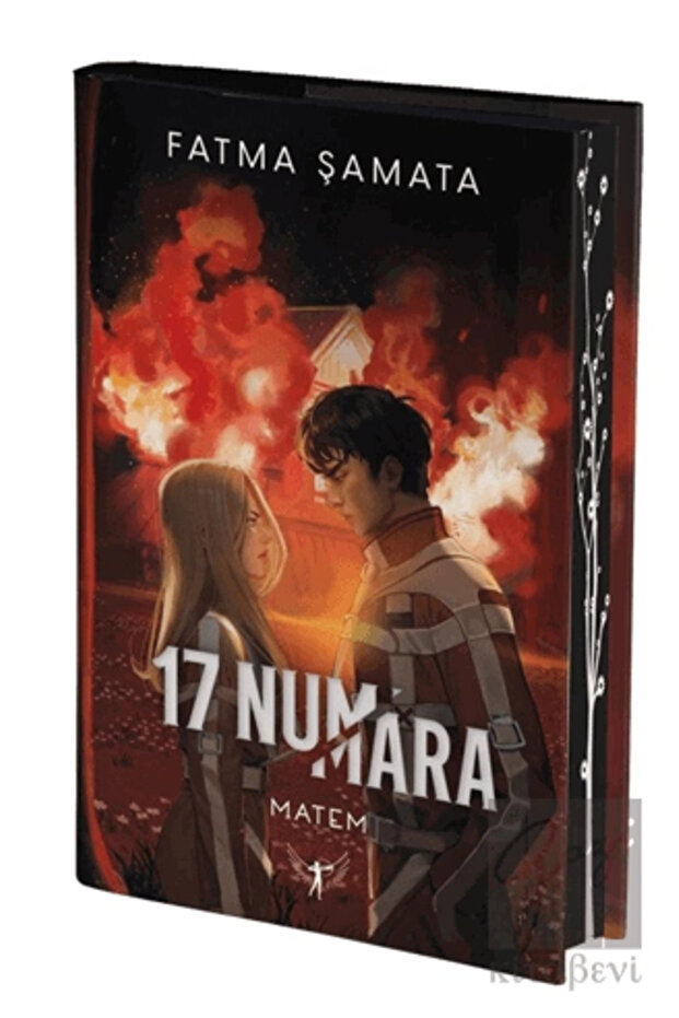 17 Numara Matem