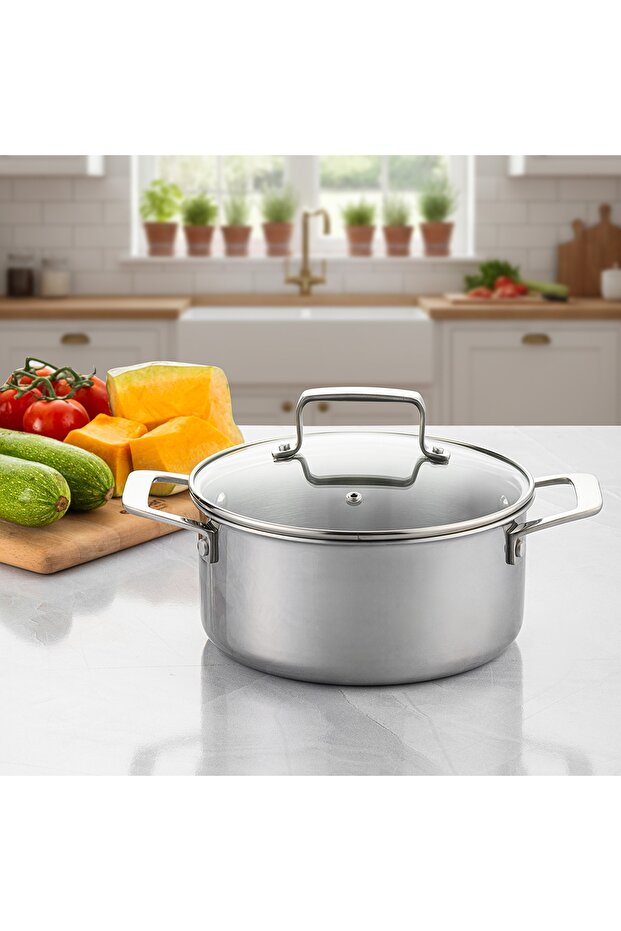 Pro Tri Ply Deep Pot Steel 24 cm