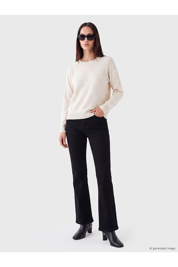 Lcw Everyday Beige Crew Neck Embroidered Women's Knitwear Sweater